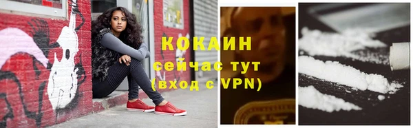 соль ск Новодвинск