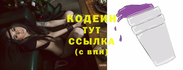 соль ск Новодвинск