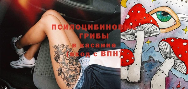 гашик Нефтекумск